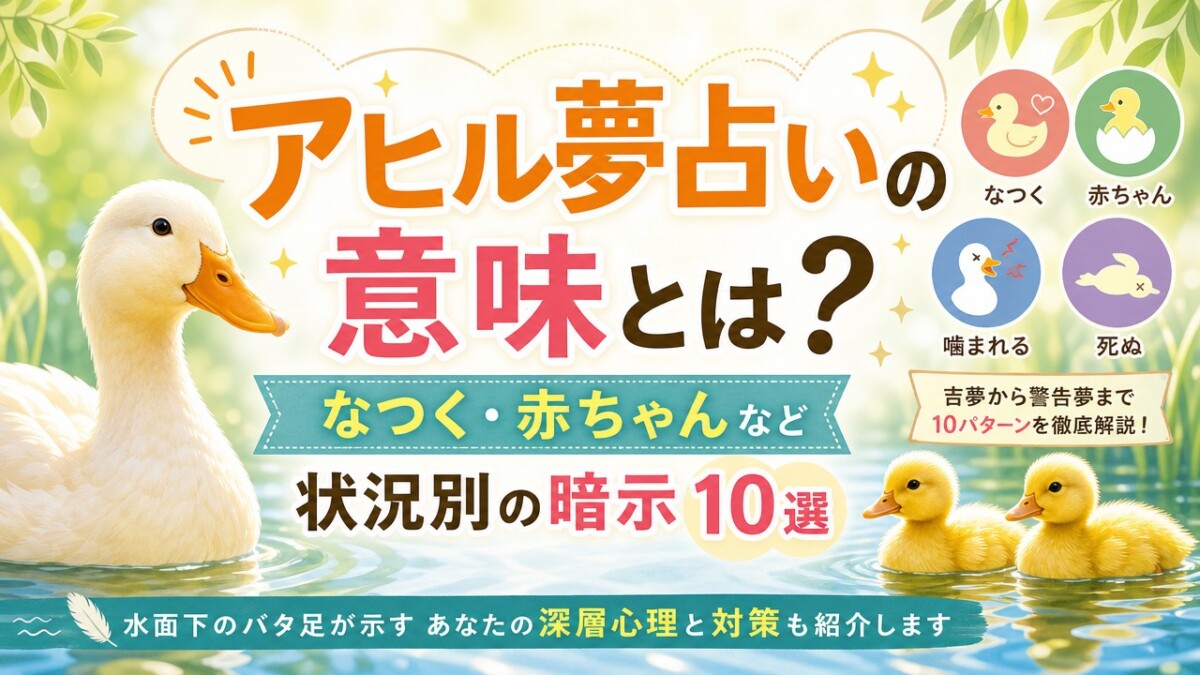 アヒル夢占いの意味とは?なつく・赤ちゃんなど状況別の暗示10選