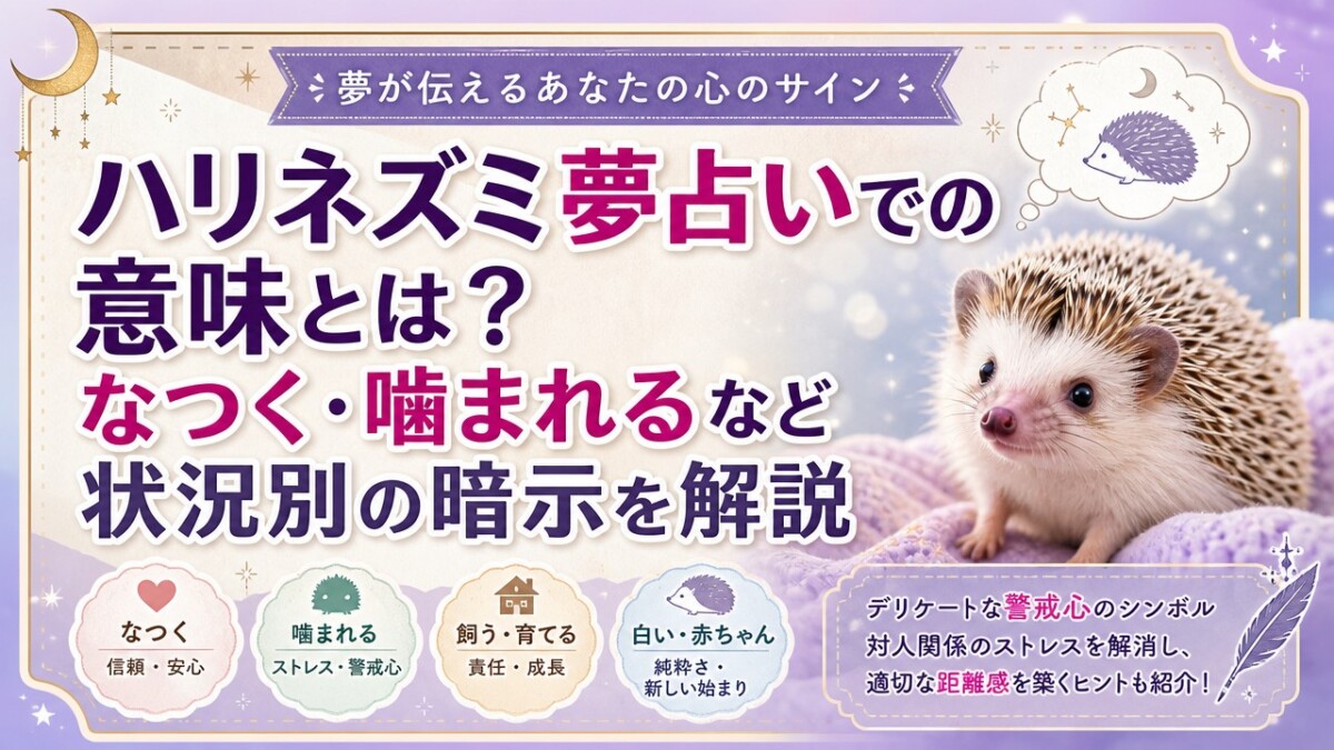 ハリネズミ夢占いでの意味とは?なつく・噛まれるなど状況別の暗示を解説