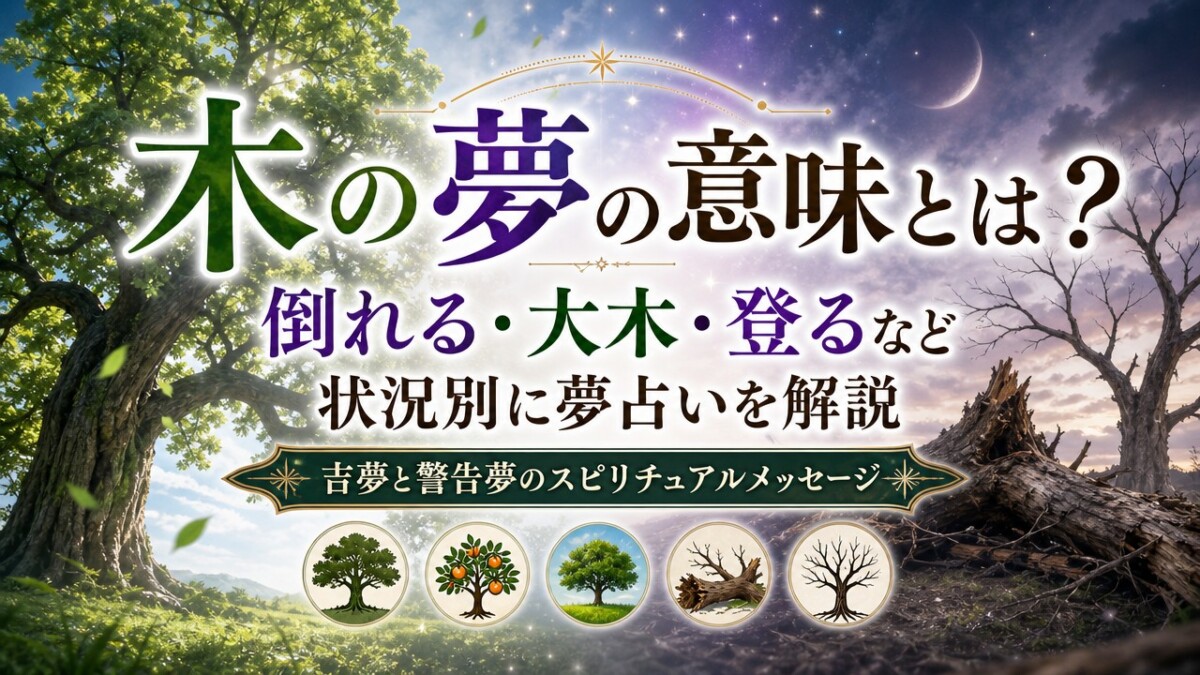 木の夢の意味とは?倒れる・大木・登るなど状況別に夢占いを解説