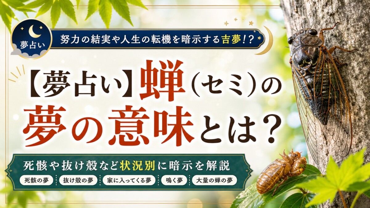 【夢占い】蝉(セミ)の夢の意味とは?死骸や抜け殻など状況別に暗示を解説